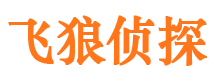 山东市侦探调查公司